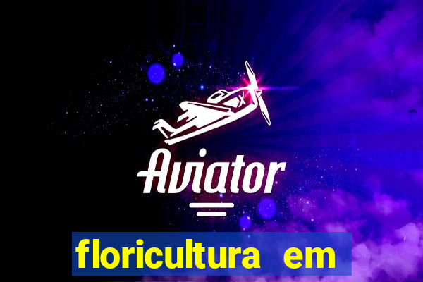 floricultura em lauro de freitas